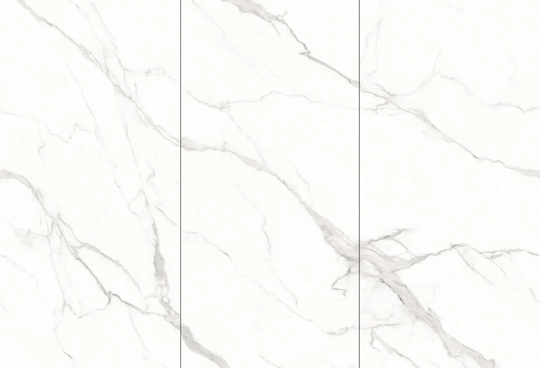 【新品】奢華定制，1600x3200mm成就大宅風(fēng)范！(圖24)